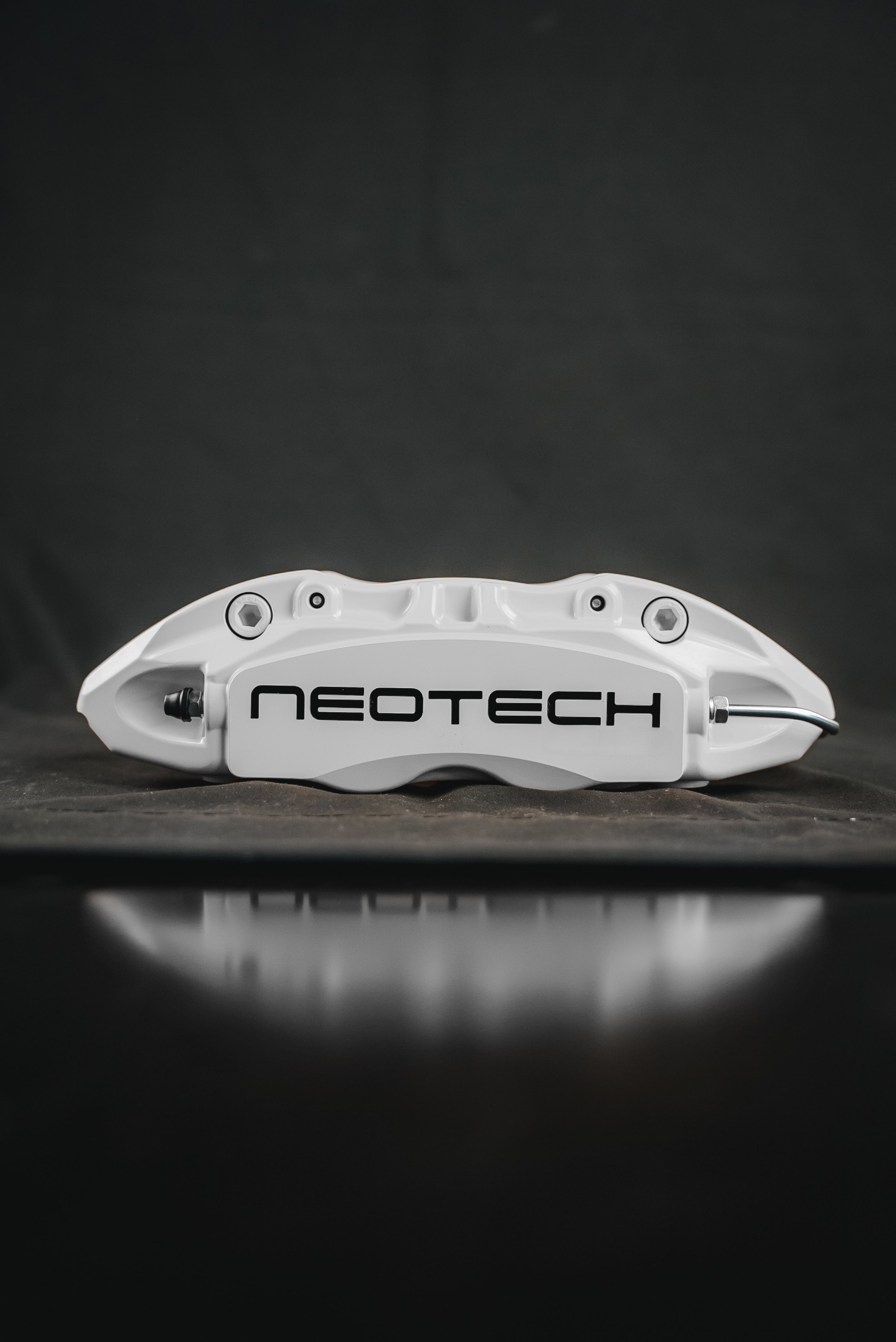 Neotech 4P Rear Brake Kit in Silver Color