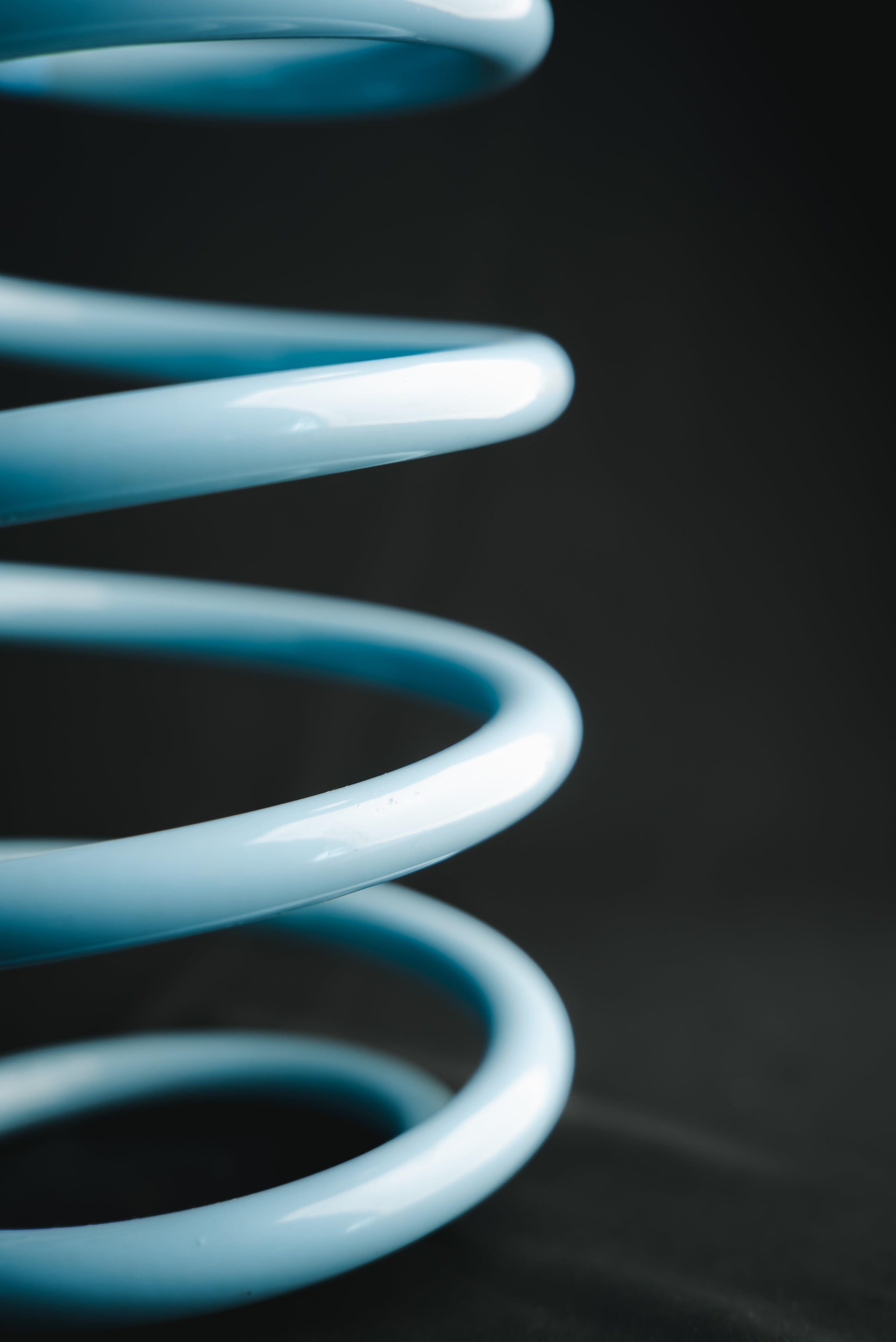 Neotech lowering spring detail